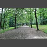 Bayreuth Eremitage - Allee vom Schneckenberg